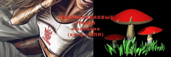 ПСИЛОЦИБИНОВЫЕ ГРИБЫ Няндома