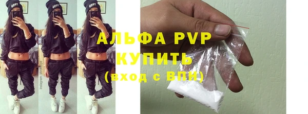 ПСИЛОЦИБИНОВЫЕ ГРИБЫ Няндома