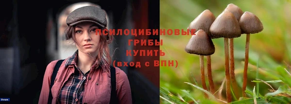ПСИЛОЦИБИНОВЫЕ ГРИБЫ Няндома