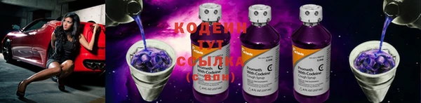 ПСИЛОЦИБИНОВЫЕ ГРИБЫ Няндома