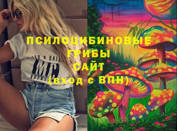 прущий лед Новозыбков