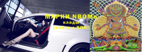 PSILOCYBIN Новокубанск