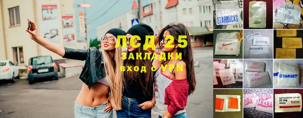 ПСИЛОЦИБИНОВЫЕ ГРИБЫ Няндома