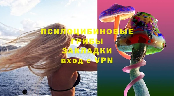 мяу мяу кристалл Весьегонск