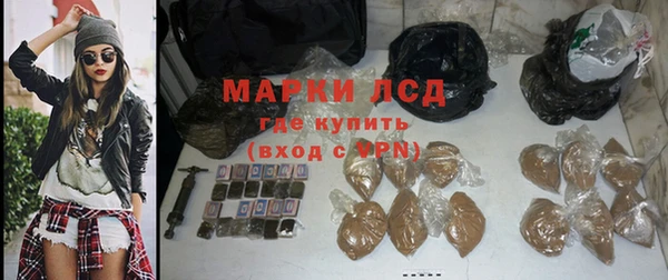 ПСИЛОЦИБИНОВЫЕ ГРИБЫ Няндома