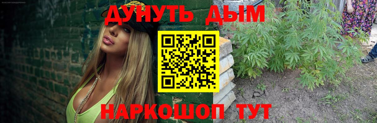 Бошки марихуана план Благовещенск